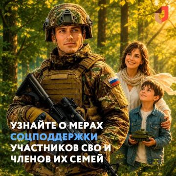 Участникам СВО и их семьям стал доступен новый онлайн-сервис МФЦ