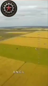 ����� �����-������ ���������� ������ ������������ �� ����