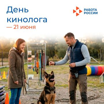 За каждым успешно проведённым поиском, за каждой найденной взрывчаткой или задержанным нарушителем стоит не только профессионализм человека, но и невероятная работа его верного хвостатого напарника