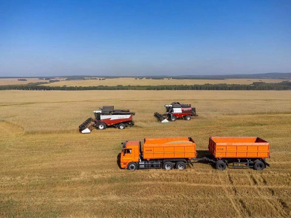 Запорожские аграрии планируют убрать до 1 млн гектар при уборочной кампании