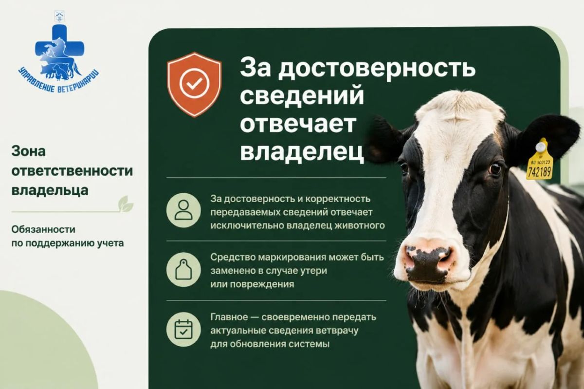 Бирка Учет! Узнайте из наших карточек, как правильно зарегистрировать животное в Запорожской области Бирка Учет! Узнайте из наших карточек, как правильно зарегистрировать животное в Запорожской области