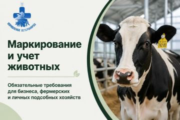 Бирка Учет! Узнайте из наших карточек, как правильно зарегистрировать животное в Запорожской области