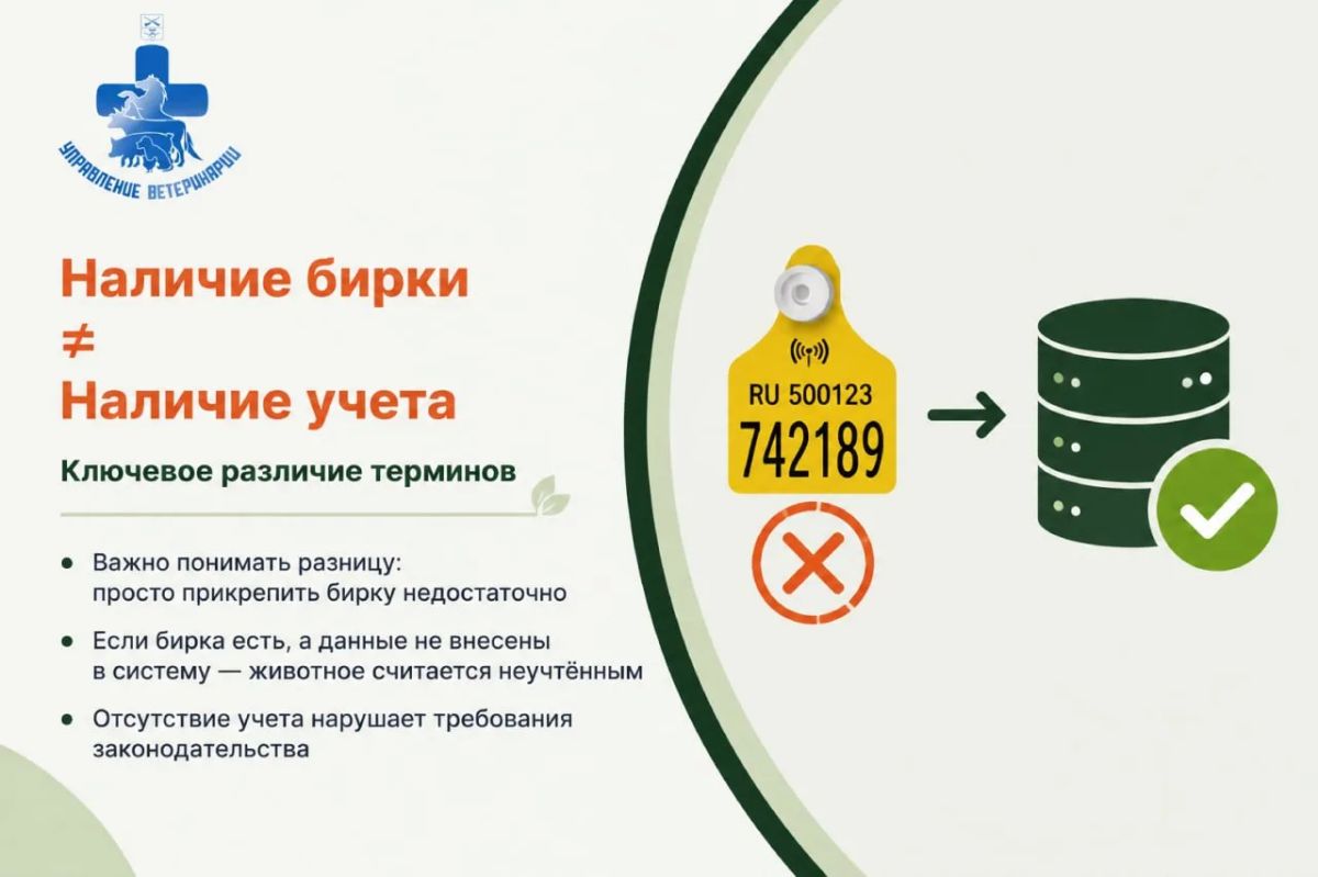 Бирка Учет! Узнайте из наших карточек, как правильно зарегистрировать животное в Запорожской области Бирка Учет! Узнайте из наших карточек, как правильно зарегистрировать животное в Запорожской области