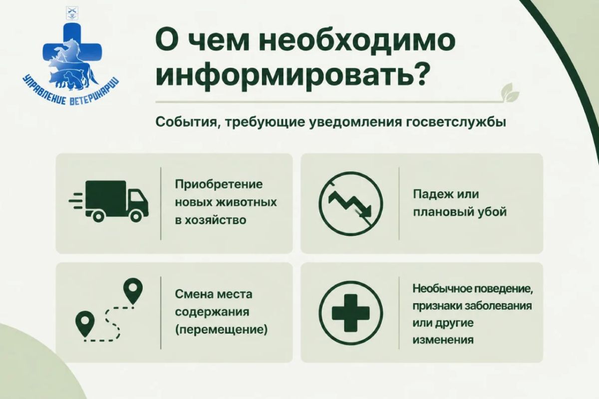 Бирка Учет! Узнайте из наших карточек, как правильно зарегистрировать животное в Запорожской области Бирка Учет! Узнайте из наших карточек, как правильно зарегистрировать животное в Запорожской области