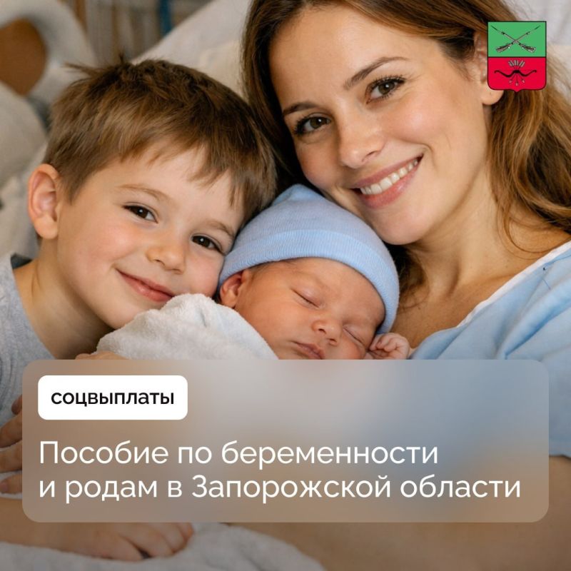 Евгений Балицкий: За прошедшие сутки в результате террористических атак на Запорожскую область пострадали четыре человека Евгений Балицкий: За прошедшие сутки в результате террористических атак на Запорожскую область пострадали четыре человека