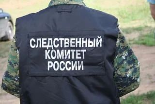 Следком проводит проверку по факту нападения беспризорной собаки в Мелитополе
