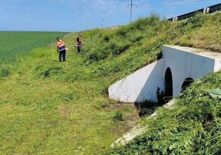 Срезка кустарника, подлеска и скашивание травы — работы продолжаются на ключевых направлениях региона Срезка кустарника, подлеска и скашивание травы — работы продолжаются на ключевых направлениях региона