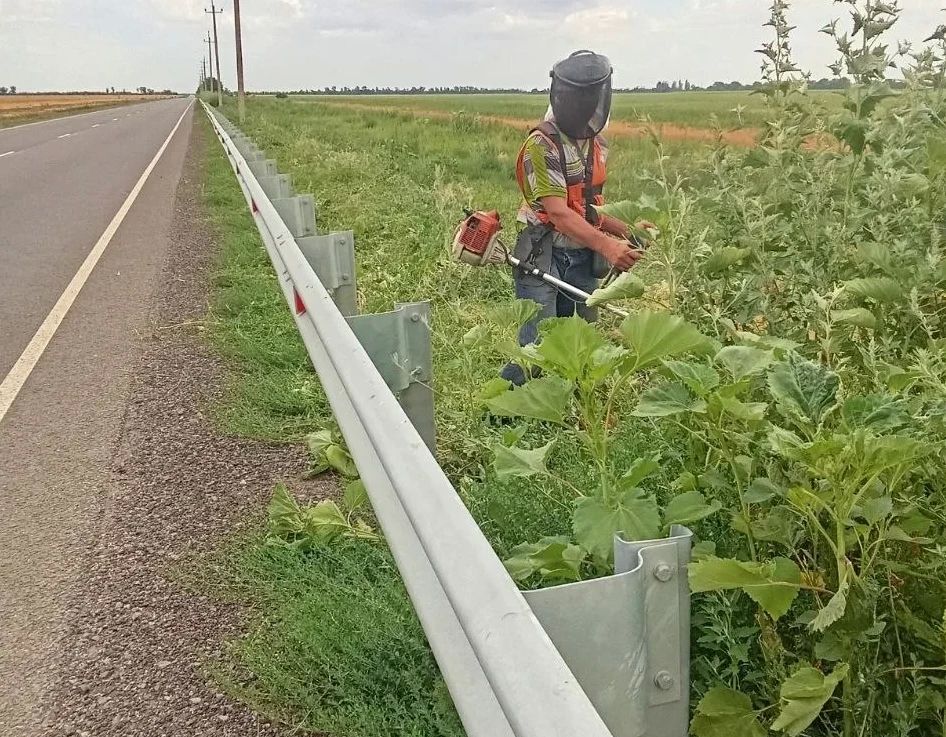 Срезка кустарника, подлеска и скашивание травы — работы продолжаются на ключевых направлениях региона Срезка кустарника, подлеска и скашивание травы — работы продолжаются на ключевых направлениях региона