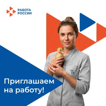 В государственное бюджетное учреждение Запорожской области «Ветеринарный центр» на постоянную работу требуются: