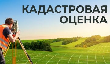 В Запорожской области в 2027 году пройдёт государственная кадастровая оценка объектов недвижимости