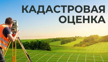 В Запорожской области в 2027 году пройдёт государственная кадастровая оценка объектов недвижимости
