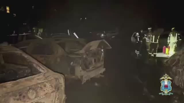 Юлия Витязева: АЗС и десятки автомобилей сгорели в Ростове-на-Дону из-за неосторожного водителя