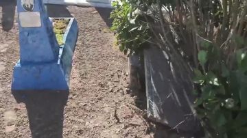 В Мелитопольском районе полицейские оперативно установили причастных к повреждению захоронений