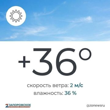 Экстремальная жара ожидается в Запорожской области в четверг, 6 августа