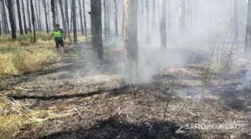 � ����������� ������� �������� ���������� �������������� � ������������ ���������������