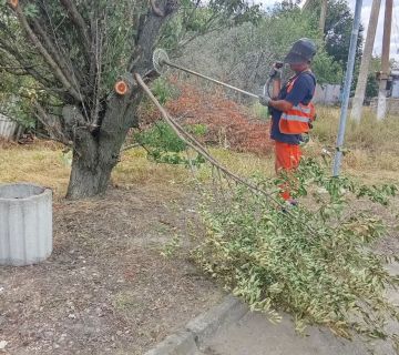���������� �������� ������ �� ���������� ����� � ������ ���������� �� �������� ������������ �������