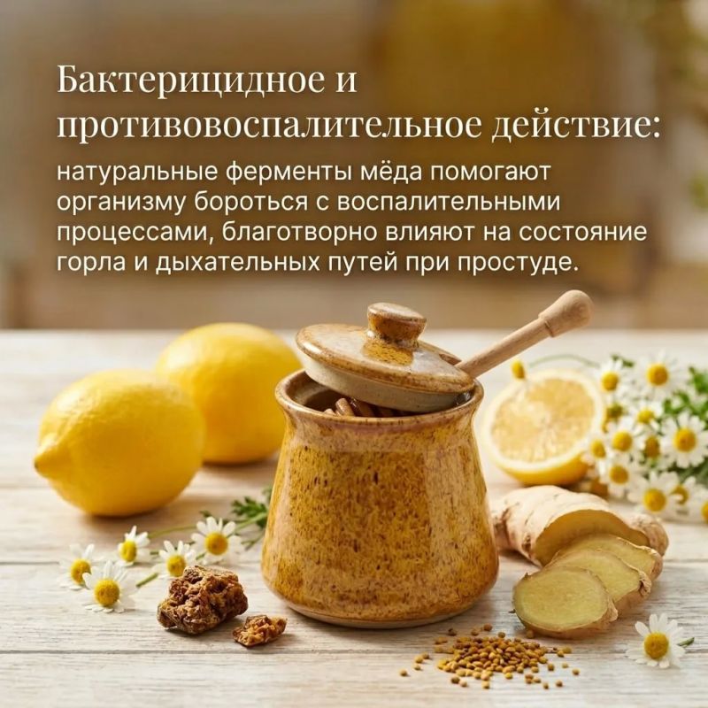 Природный эликсир здоровья: о полезных свойствах мёда Природный эликсир здоровья: о полезных свойствах мёда