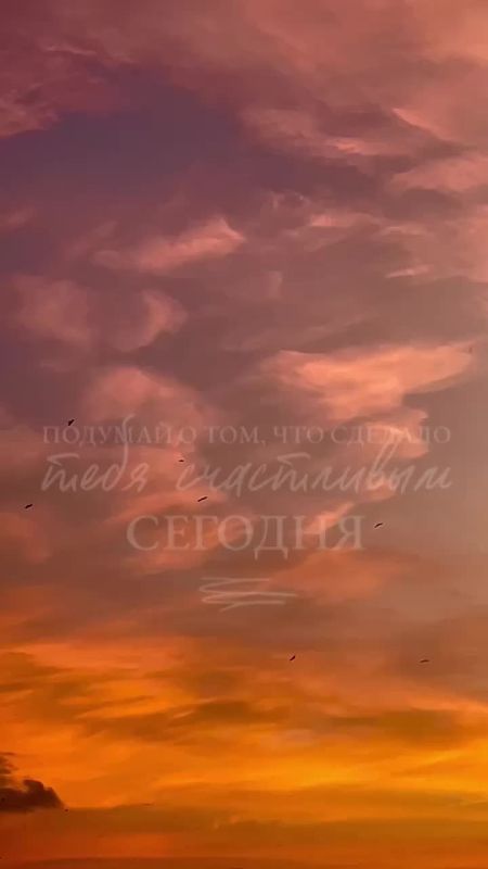 Подписывайтесь на. НОВЫЙ МЕЛИТОПОЛЬ