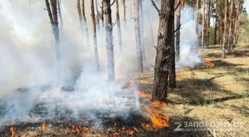 � ����������� ������� �� 25 ������� ��������� ������������ � ������� ���������������