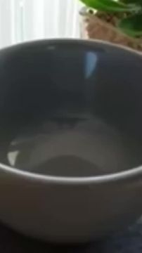 Подписывайтесь на. НОВЫЙ МЕЛИТОПОЛЬ