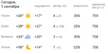 Подписывайтесь на. НОВЫЙ МЕЛИТОПОЛЬ