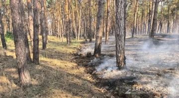 Жителей Запорожской области предупредили о чрезвычайной пожароопасности