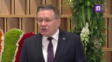 Глава «Росатома»: ЛЭП «Днепровская» к Запорожской АЭС отремонтирована, но пока не подключена