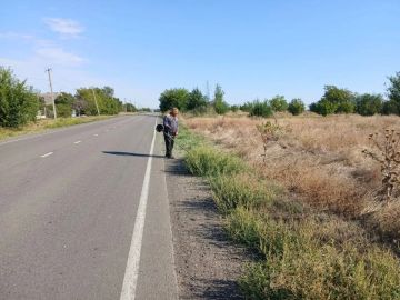 Благоустройство в Зареченском территориальном отделе
