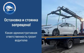 Сотрудники Госавтоинспекции напоминают: неправильная остановка и стоянка создаёт заторы, блокирует пешеходные переходы и увеличивает риск ДТП