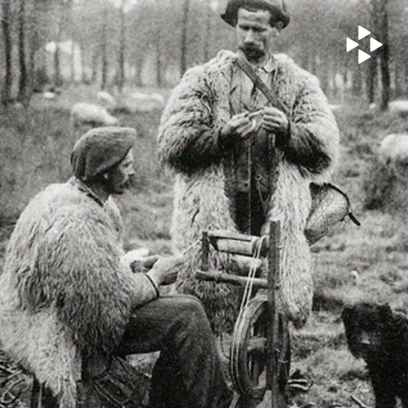 До появления современных технологий обработки текстильного сырья важную роль в производстве шерстяной пряжи играл чесальщик шерсти — мастер, который подготавливал овечью шерсть к дальнейшему прядению До появления современных технологий обработки текстильного сырья важную роль в производстве шерстяной пряжи играл чесальщик шерсти — мастер, который подготавливал овечью шерсть к дальнейшему прядению