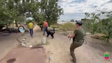 � ��������� ����������� ���������� ��������� � ���� ������ �������