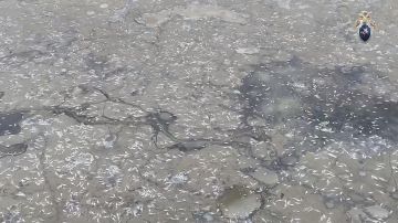 В Мелитополе завершено расследование уголовного дела об осушении поверхностных вод реки Домузла и гибели биоресурсов в результате проведения строительных работ