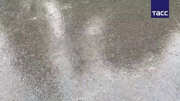 �������� ������� ���������� �� �� ������
