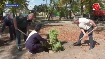 Зелёное преображение сквера Огнеборцев: десятки новых деревьев и кустарников появились благодаря общественной инициативе