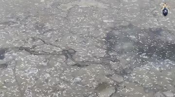 ������ 69 ����� ��� ������� ��-�� �������� ���� ��� �����������