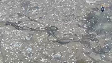 ���� �� ������������� ���������� �� ���� ������� �������� � ���