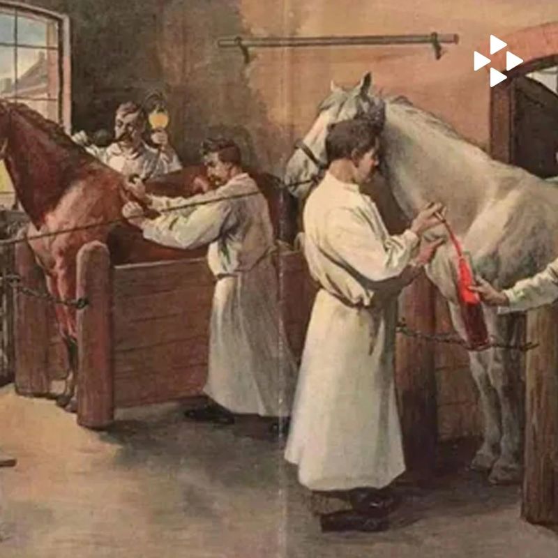 До появления современных ветеринарных клиник здоровье животных целиком зависело от особых мастеров — деревенских коновалов (ветеринаров-ремесленников, которые традиционно занимались обслуживанием и лечением домашней скотины) До появления современных ветеринарных клиник здоровье животных целиком зависело от особых мастеров — деревенских коновалов (ветеринаров-ремесленников, которые традиционно занимались обслуживанием и лечением домашней скотины)